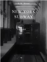 Interior New York Subway 14th Street to 42nd Street在线观看