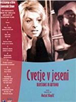 Cvetje v jeseni