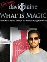 David Blaine: What Is Magic?在线观看
