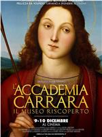 L'Accademia Carrara - Il museo riscoperto在线观看
