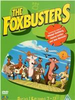 Foxbusters Season 1