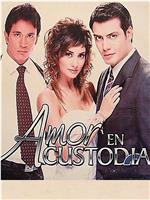 Amor en custodia在线观看