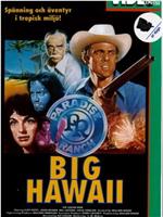 Big Hawaii