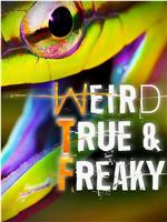 Weird, True & Freaky