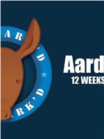 Aardvark'd: 12 Weeks with Geeks