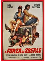 A forza di sberle在线观看