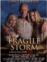 Fragile Storm