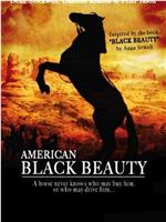 American Black Beauty在线观看