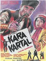 Kara kartal在线观看