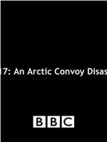 PQ17: An Arctic Convoy Disaster在线观看