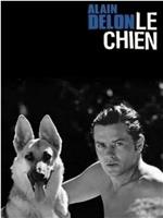 Le chien