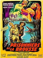 Prisonniers de la brousse