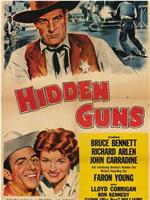 Hidden Guns