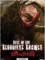 TNA Wrestling: Best of the Bloodiest Brawls - Scars and Stitches在线观看