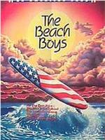 The Beach Boys: An American Band在线观看