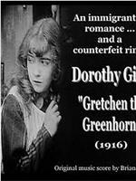 Gretchen the Greenhorn