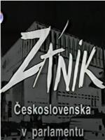 天鹅绒式离婚：议会中的捷克斯洛伐克落幕时