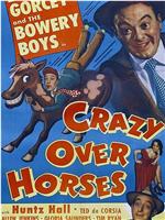 Crazy Over Horses