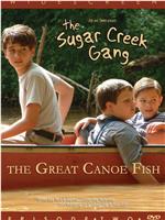 Sugar Creek Gang: Great Canoe Fish在线观看