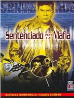 Sentenciado por la mafia在线观看