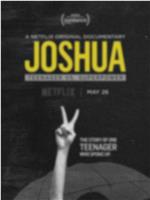 Joshua: A Nigerian Portrait