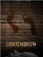 Conundrum: Secrets Among Friends