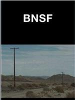 BNSF在线观看