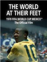 世界在他们脚下-1970年墨西哥世界杯官方纪录片在线观看
