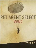 Secret Agent Selection: WW2在线观看