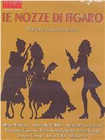 Le Nozze Di Figaro