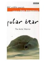 野生动物系列 北极熊：北极勇士