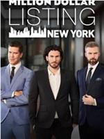 百万美元豪宅：纽约 第六季在线观看
