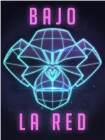 Bajo-la-red