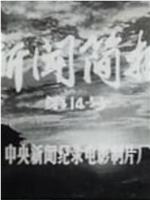 新闻简报1974年第14号