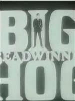 Big Breadwinner Hog在线观看