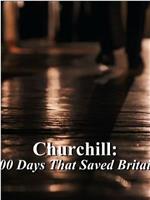 丘吉尔：拯救英国的一百天