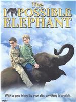 The Impossible Elephant在线观看