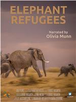 Elephant Refugees