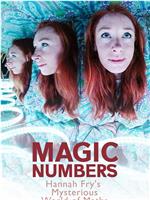 魔力数字：数学的奇妙世界 第一季在线观看