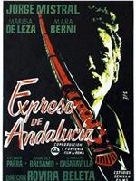 El expreso de Andalucía在线观看