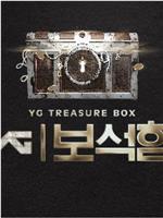 YG 宝石盒在线观看