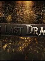 The Last Dragon在线观看