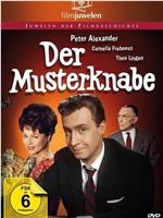 Der Musterknabe