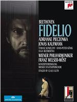 Salzburg Festival 2015: Fidelio