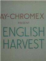English Harvest在线观看