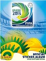 2013年国际足联巴西联合会杯在线观看