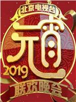 2019北京卫视元宵晚会