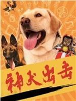 神犬出击