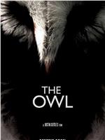 The Owl在线观看