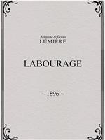 Labourage